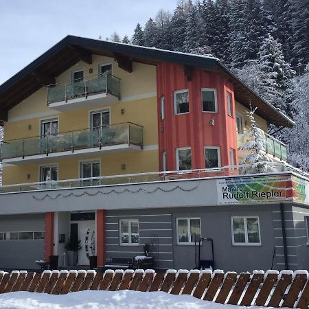 Appartementhaus Riepler バードガシュタイン エクステリア 写真
